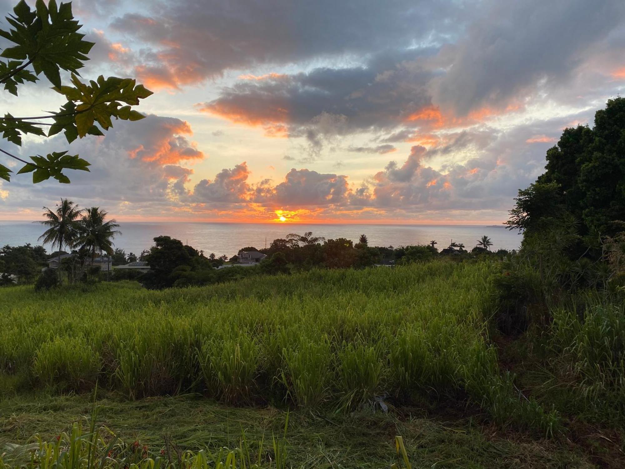Hawaii Magic Skies Farmstay Paukaa Exterior foto